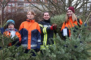 Weihnachtsb&auml;ume eingesammelt
