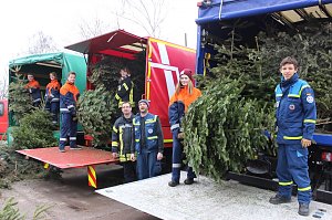 Weihnachtsb&auml;ume eingesammelt