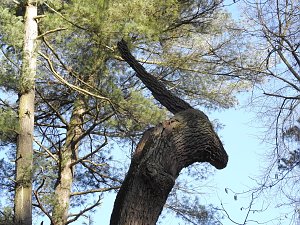Peter Blei zu Besuch auf Schloss Oranienbaum