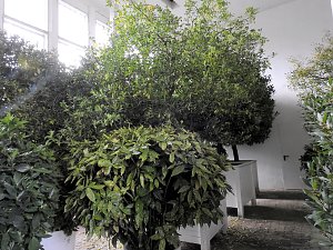 Peter Blei zu Besuch auf Schloss Oranienbaum