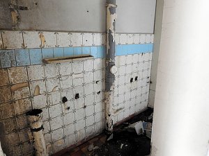 Gew&auml;chshausanlage Vockerode