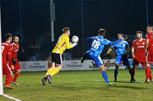 Wacker gewinnt 2:0 gegen Halberstadt