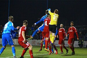 Wacker gewinnt 2:0 gegen Halberstadt