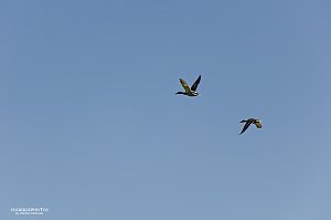 Auf der Unstrut unterwegs