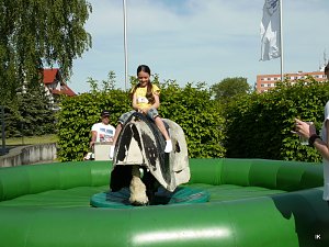 Fest der L&auml;mmerschw&auml;nze