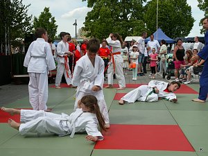 Fest der L&auml;mmerschw&auml;nze