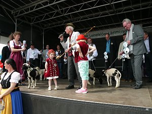 fest der L&auml;mmerschw&auml;nze