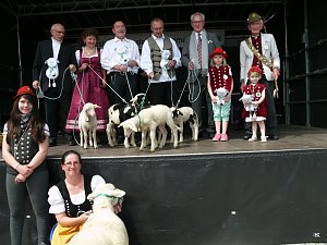 fest der L&auml;mmerschw&auml;nze
