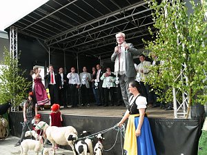 fest der L&auml;mmerschw&auml;nze