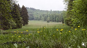 Wandergr&uuml;&szlig;e aus Rothes&uuml;tte