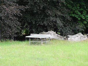 Peter Blei unterwegs - diesmal in der freien Natur und im Jugendwaldheim Rathsfeld