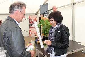 Mit Festakt schiefer Turm als gerettet gefeiert