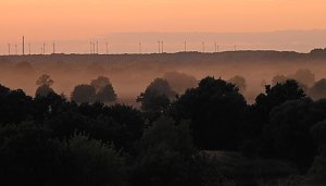 Spinnen im Mondschein am Goitzsche See