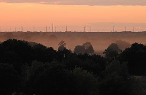 Spinnen im Mondschein am Goitzsche See