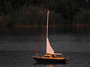 Spinnen im Mondschein am Goitzsche See