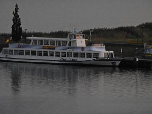 Spinnen im Mondschein am Goitzsche See
