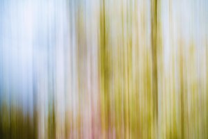 Keine Angst vor dem Herbst