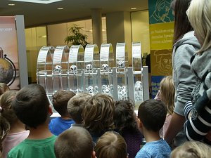 Sonderziehung PS-Los in Heilbad Heiligenstadt