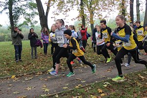Stadtparklauf