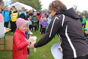 Stadtparklauf