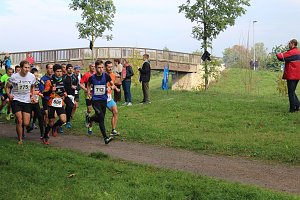 Die langen Strecken beim Stadtparklauf