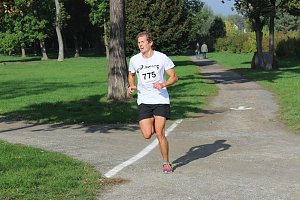 Die langen Strecken beim Stadtparklauf