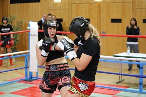 Kickboxen