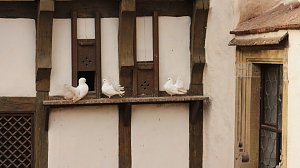 Besuch auf der Wartburg