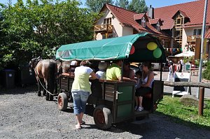 Hoffest R&uuml;dingsdorfer Schweiz