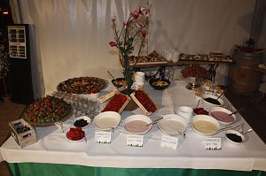 22. Nordth&uuml;ringer Fr&uuml;hlingsball