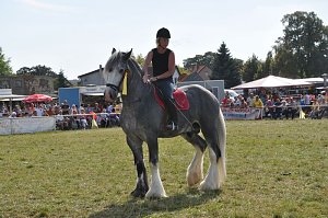 Kampf der Giganten Sundhausen