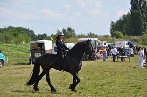 Kampf der Giganten Sundhausen