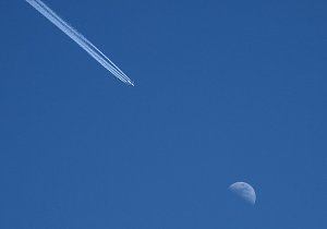 Das besondere Foto