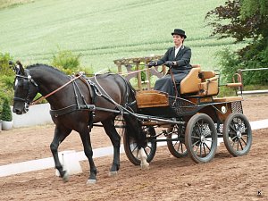 Breitensporttag am Reiterhof in Uder