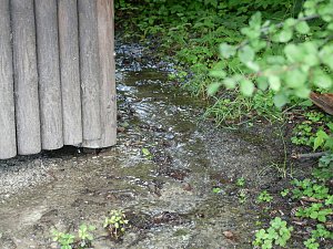 Quellen sprudeln &uuml;ber im B&auml;renpark