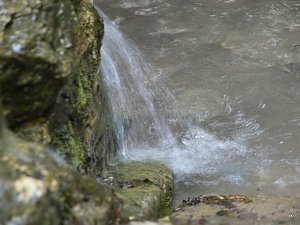 Quellen sprudeln &uuml;ber im B&auml;renpark