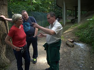 Quellen sprudeln &uuml;ber im B&auml;renpark