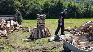 K&ouml;hlertage an der Arche Nebra
