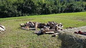 K&ouml;hlertage an der Arche Nebra