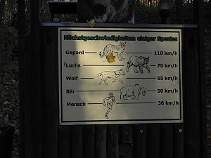 Peter Blei im B&auml;renpark Worbis