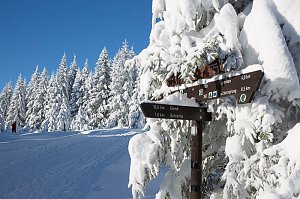Wandern und Fotografieren