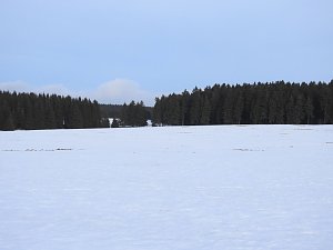 Der Harz taut...