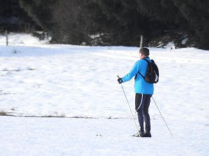 Der Harz taut...