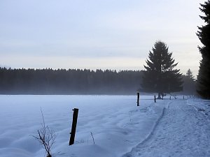 Der Harz taut...