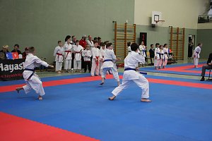 Titel und Medaillen beim Karate