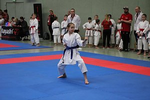 Titel und Medaillen beim Karate