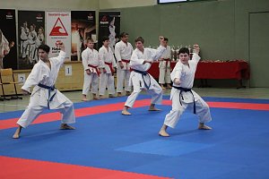Titel und Medaillen beim Karate