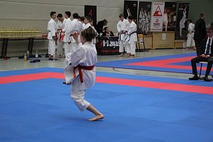 Titel und Medaillen beim Karate