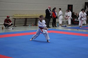 Titel und Medaillen beim Karate