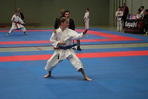 Titel und Medaillen beim Karate
